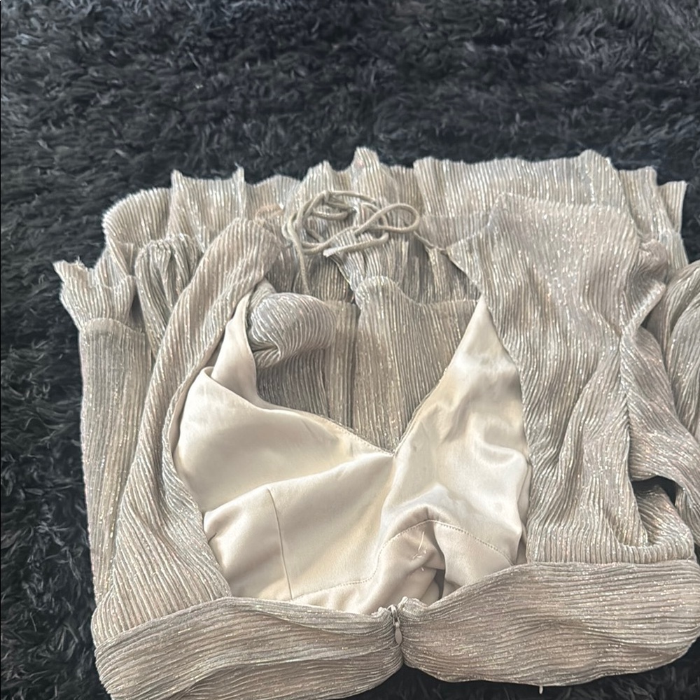 Silver Metallic Ruffled Dress - Picture 2 of 2